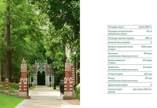 Книга Прогулки в Царицыне с натуралистом (Светлана Калинина, Марина Шайкина, Татьяна Смирнова) — 2