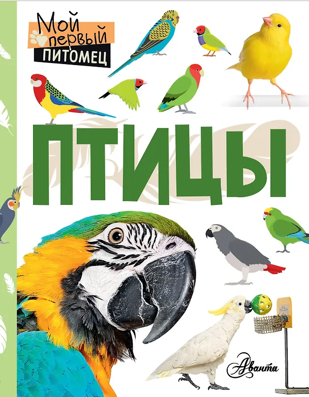 Книга Птицы (Наталия Аронова) — 1