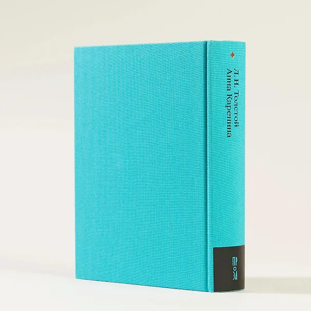 Книга Анна Каренина. Роман в восьми частях (Лев Толстой) — 11