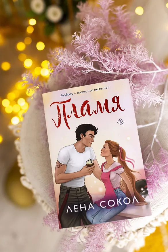 Книга Пламя (Лена Сокол) — 13