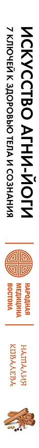 Книга Искусство Агни-йоги. 7 ключей к здоровью тела и сознания (Наталия Ковалева) — 3