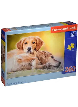 Пазл 260 midi Верная дружба (32х23) (B-27361) (Castorland Puzzle) (8+) 2563168