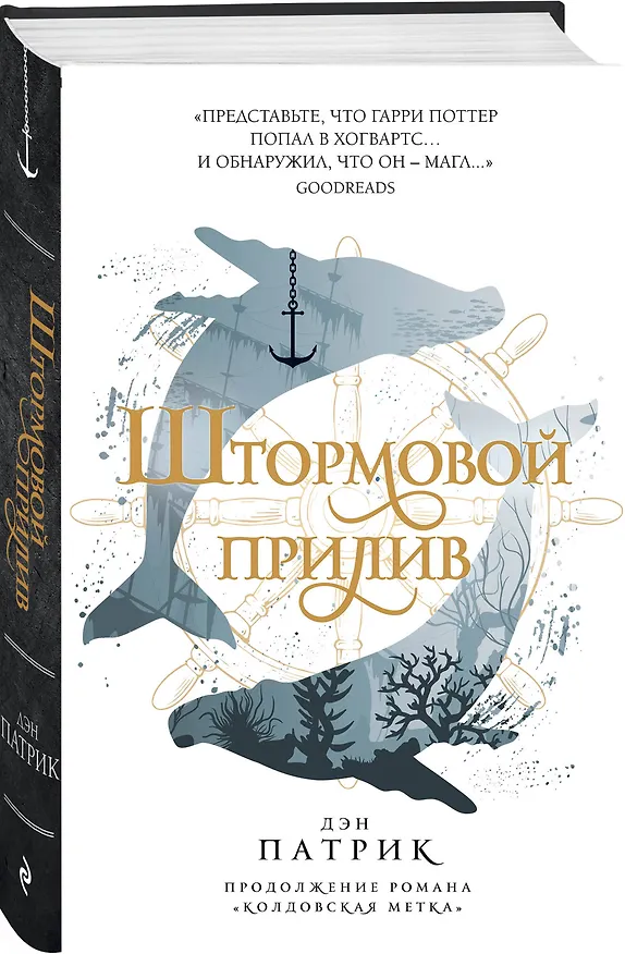 Книга Штормовой прилив (Дэн Патрик) — 4