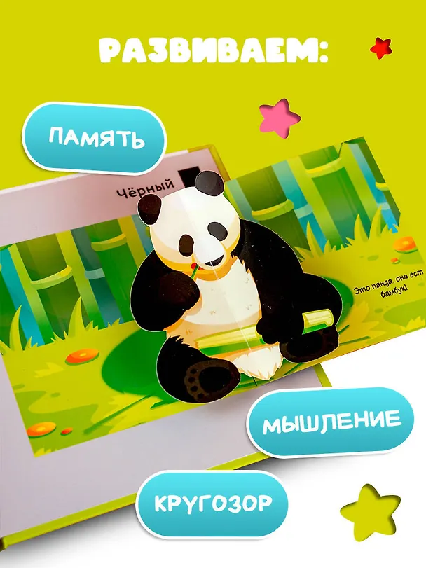 Книга Цвета () — 8