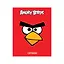 Тетрадь на кольцах в клетку Angry Birds, 120 листов — 227524 — 3