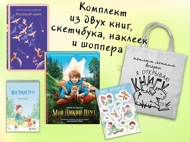 Книга Набор "Мой дикий друг" (набор из книги, наклеек, скетчбука с шоппером) (Антуан де Сент-Экзюпери, Геннадий Калашников, Юлия Соломатина) — 1