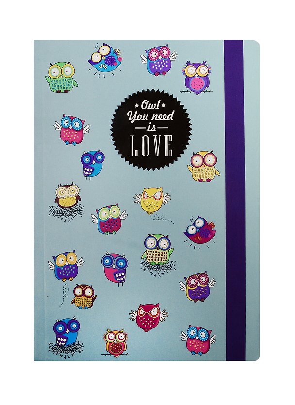 Блокнот «Owl You Need Is Love», 2505543 — 1