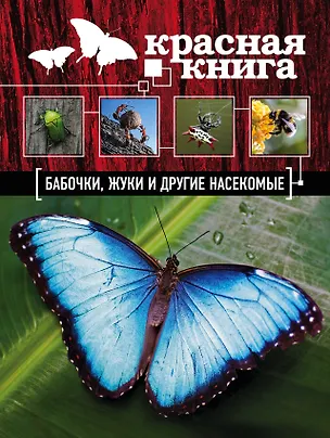 Книга Бабочки, жуки и другие насекомые (Ольга Харькова)