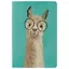 Тетрадь в клетку "Лама в очках", А5, 24 листа, в ассортименте — 249466 — 1