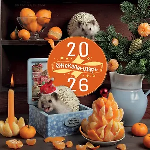 Ёжекалендарь. Сочные мандаринки. Календарь настенный на 2026 год (300х300)