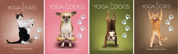 Тетрадь в клетку Yoga Dogs «Yoga Animals» в ассортименте, 18 листов 229700 — 1