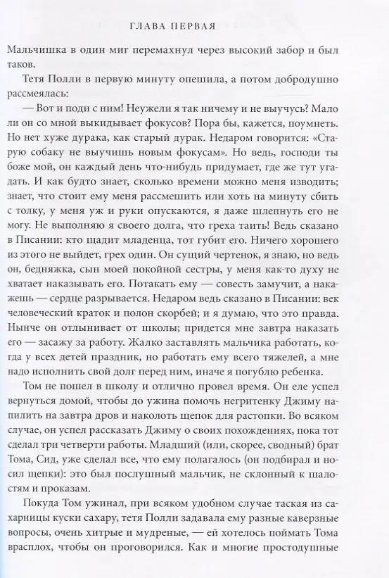 Книга Приключения Тома Сойера (Марк Твен) — 6