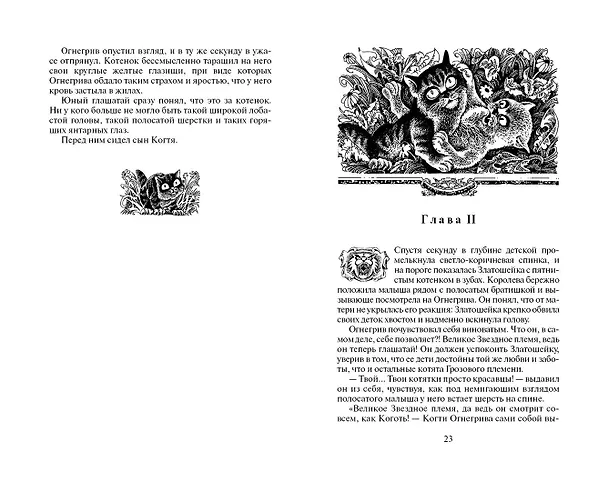 Книга Бушующая стихия (Эрин Хантер) — 11