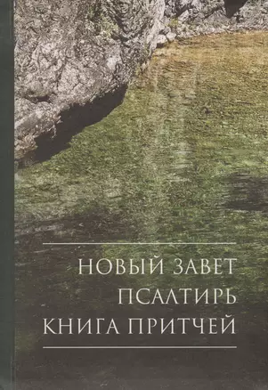 Новый Завет. Псалтирь. Книга Притчей. В русском переводе с иллюстрациями и приложением — 2422384 — 1