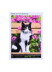 Кпн-104 Картина по номерам Котик (ПочСебяХуд) (20х28 см) (коробка) (LORI)