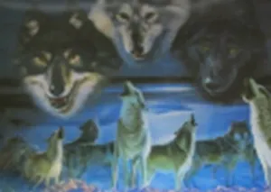 3D постер Тигры/Волки (3D PS 35)