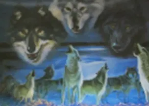 3D постер Тигры/Волки (3D PS 35) 2292910