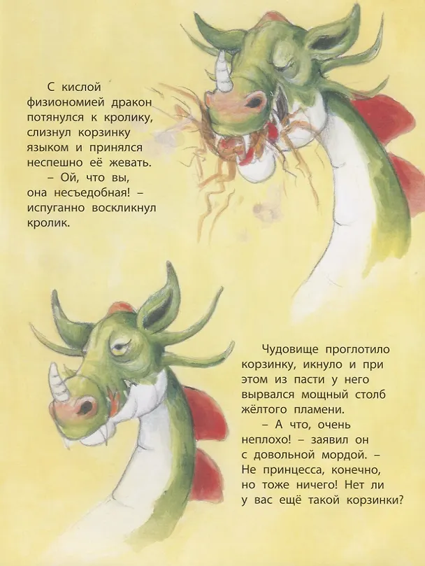 Книга Как подружиться с драконом (Эстер Мишкотт) — 2