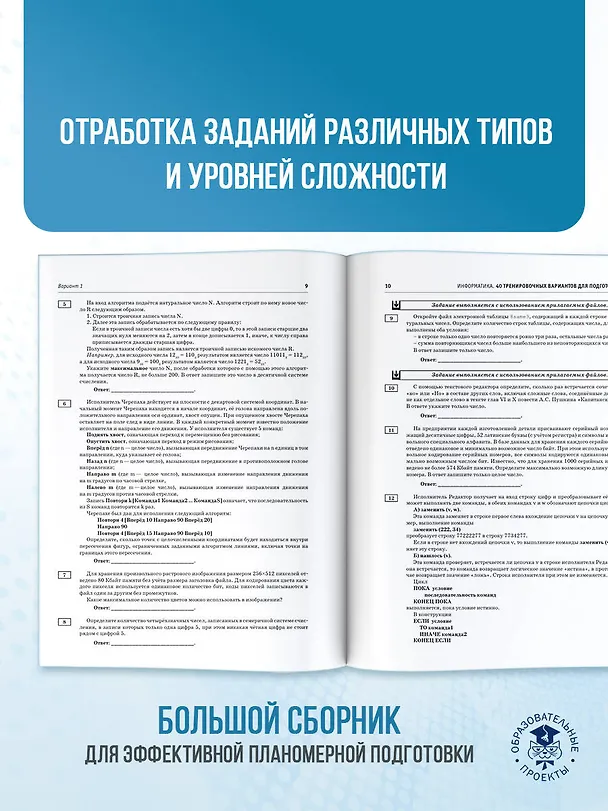 Книга ЕГЭ-2026. Информатика. 40 тренировочных вариантов экзаменационных работ для подготовки к единому государственному экзамену (Денис Ушаков) — 8