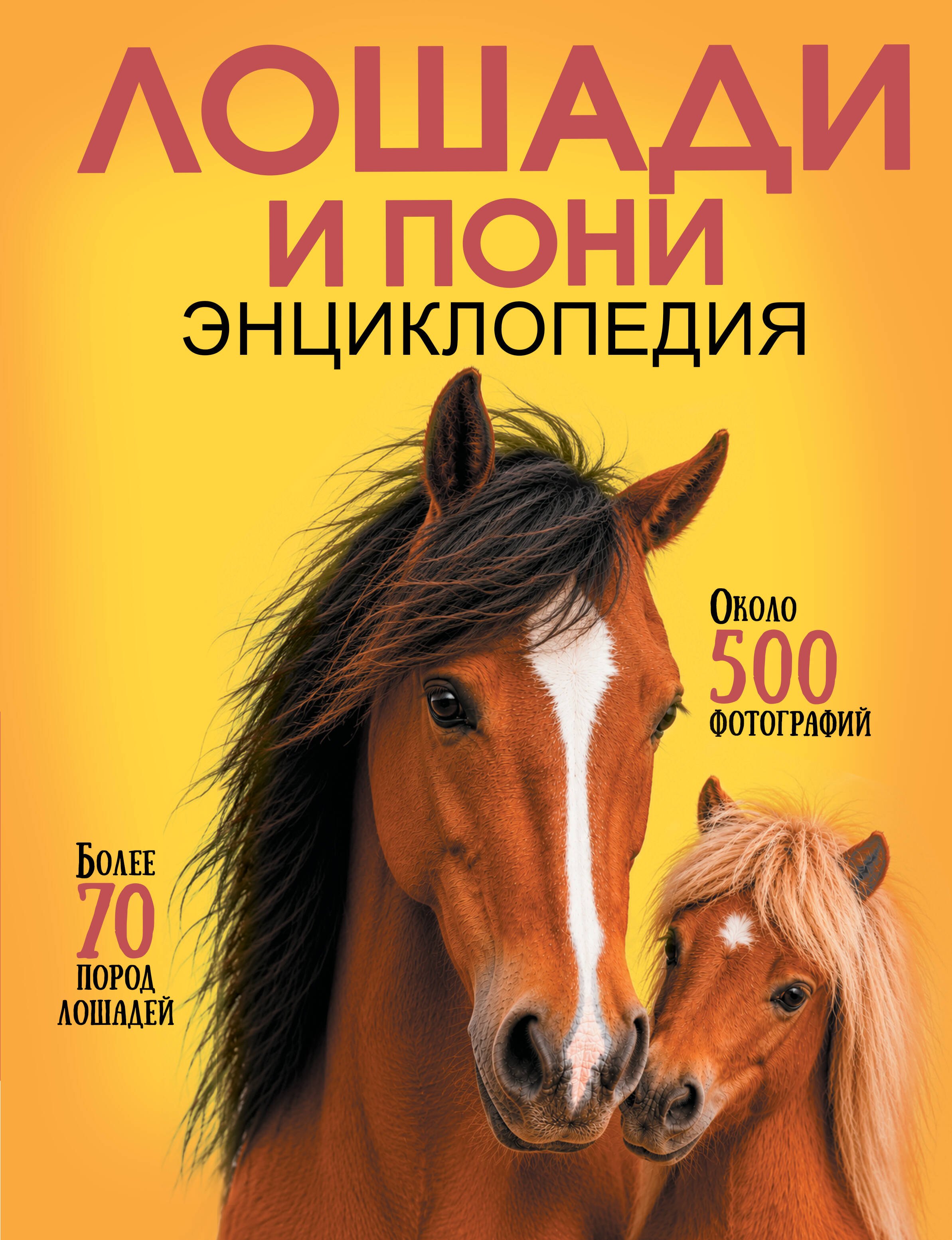 None Лошади и пони
