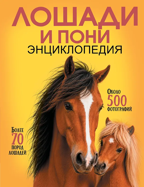 Книга Лошади и пони () — 1
