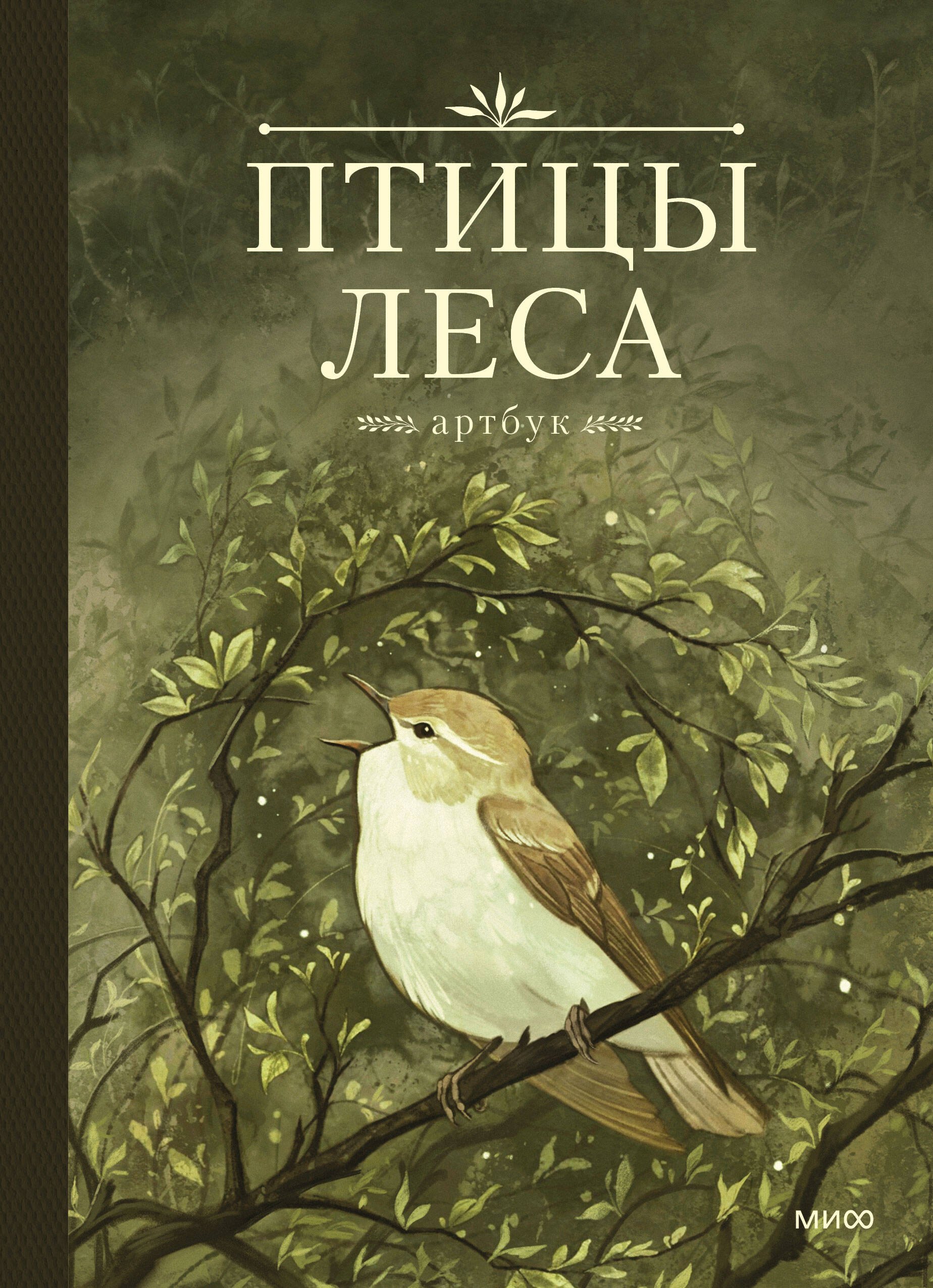 

Птицы леса. Артбук