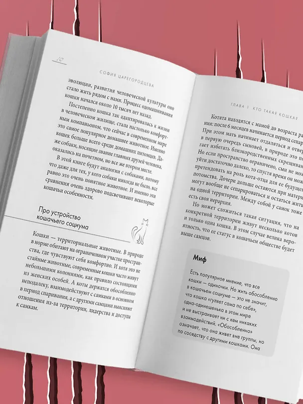 Книга Кошачий закон и порядок. Как найти общий язык с кошкой и не стать жертвой ее капризов (София Царегородцева) — 11