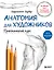Анатомия для художников. Практический курс — 2846615 — 1