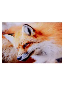 Алмазная мозаика квадратная "Пушистая рыжая лисичка", 17x22