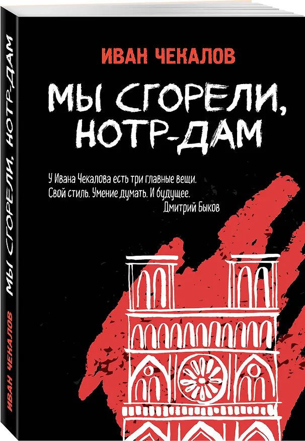 Книга Мы сгорели, Нотр-Дам (Иван Чекалов) — 4