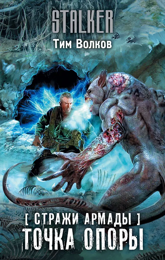 Книга Стражи Армады. Точка опоры (Тим Волков) — 1