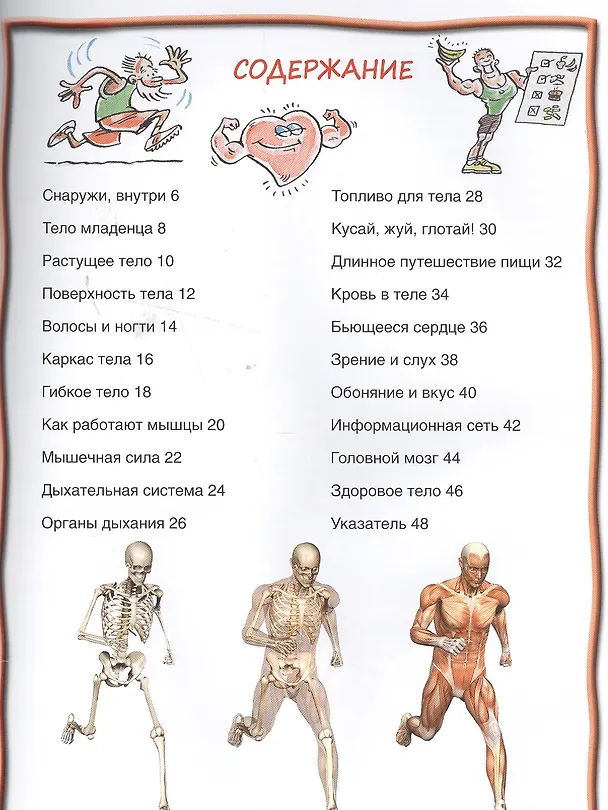 Книга Тело человека () — 2