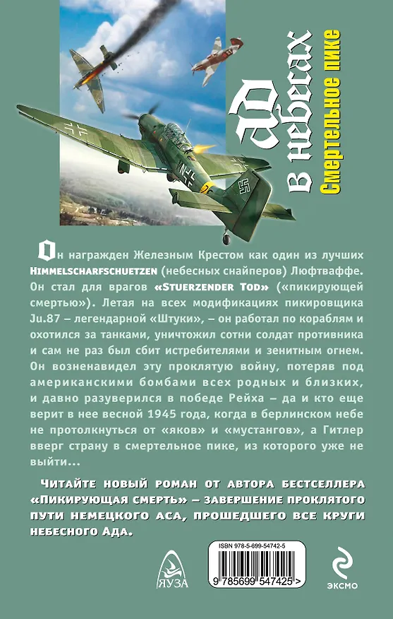 Книга Ад в небесах. Смертельное пике (Николай Викторенко) — 2