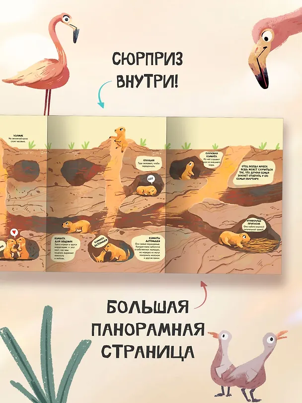 Книга Семья в мире животных. Любовь, забота и воспитание в дикой природе (Доменико Текноченци) — 6