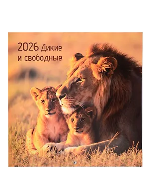 Календарь 2026г 290*290 "Дикие и свободные" настенный, на скрепке 3095499