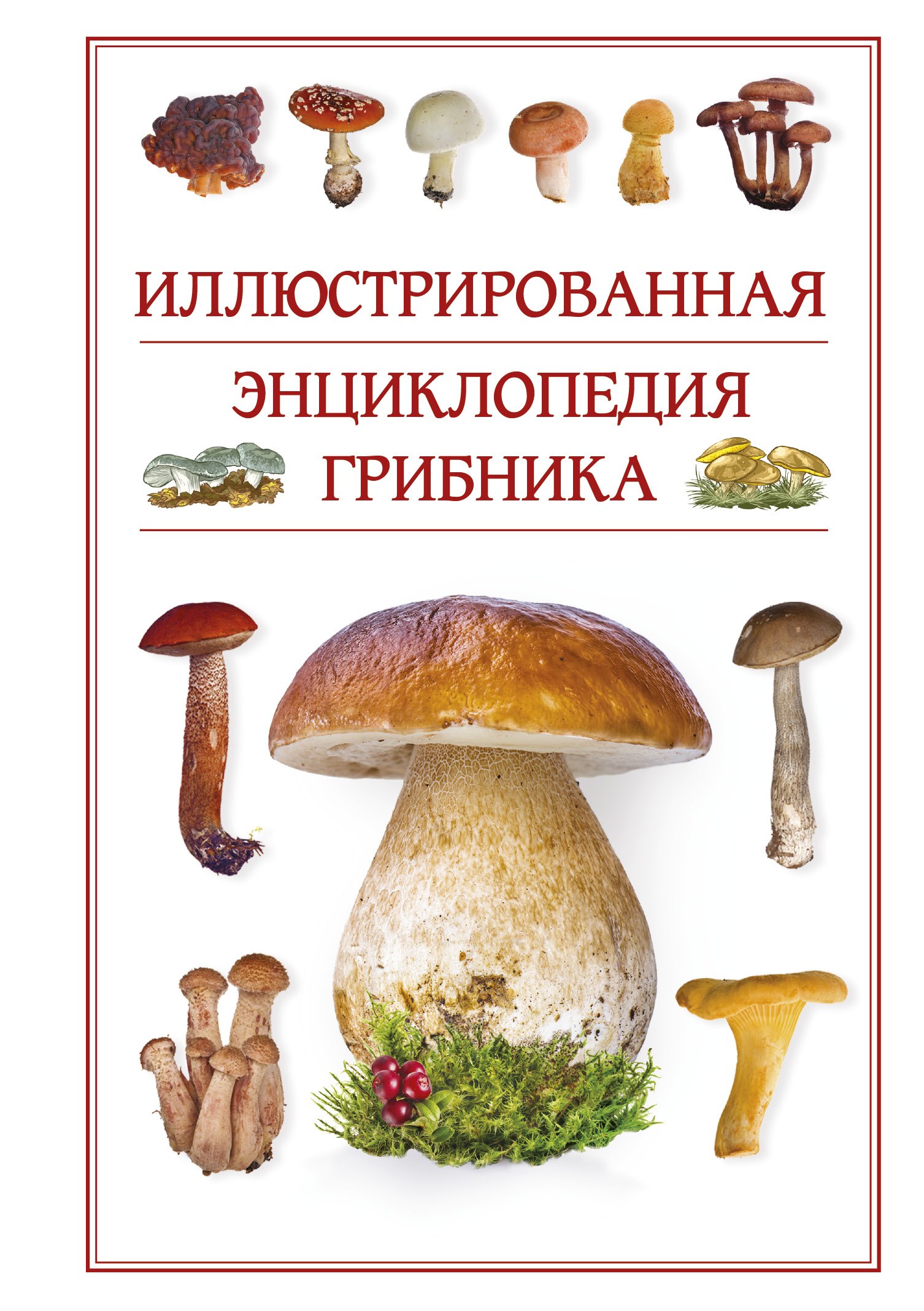 

Иллюстрированная энциклопедия грибника.