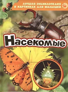 Насекомые (ЛЭК)
