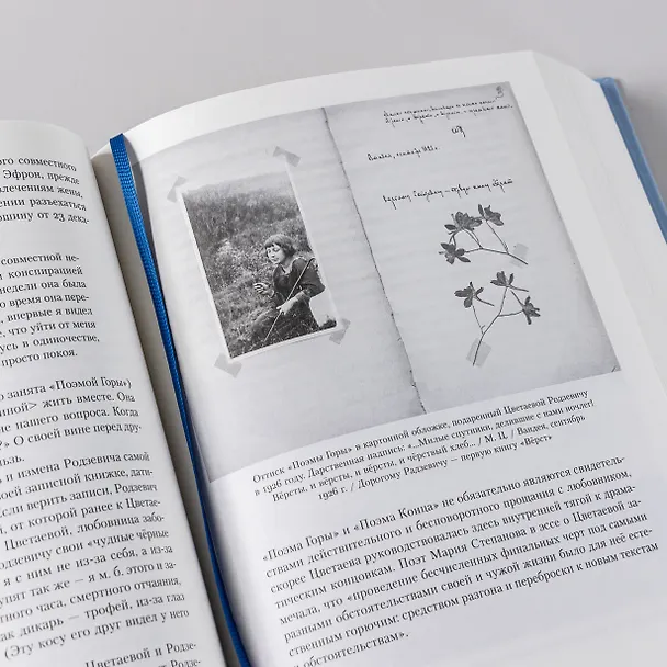 Книга [Тома 3, 4] Полка: О главных книгах русской литературы (Варвара Бабицкая, Михаил Велижев, Виктория Гендлина) — 6