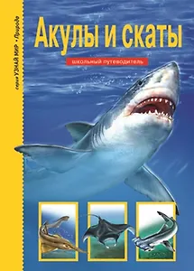 Акулы и скаты