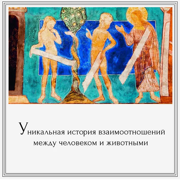 Книга Магия трав и волшебный бестиарий. Сборный комплект из 2-х книг с шоппером (Ипполита Дуглас Скотти ди Виголено, Сабрина Тонутти, Роберто Маркезини) — 7