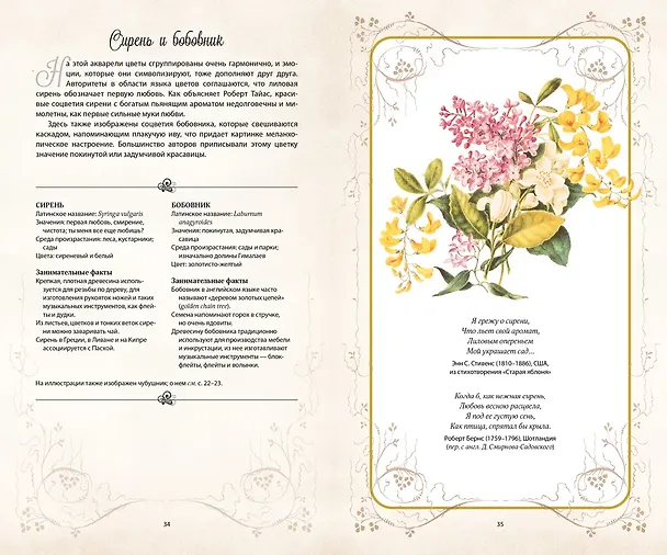 Книга Тайный язык цветов (Джилл Дэвис, Джилл Сондерс) — 9