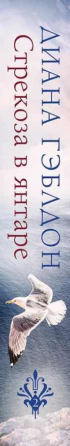 Книга Стрекоза в янтаре (Диана Гэблдон) — 3
