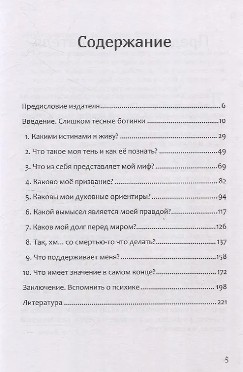 Книга Путешествие, которое мы называем жизнью (Джеймс Холлис) — 11