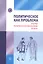 Политическое как проблема. Очерки политической философии ХХ века — 2827823 — 1