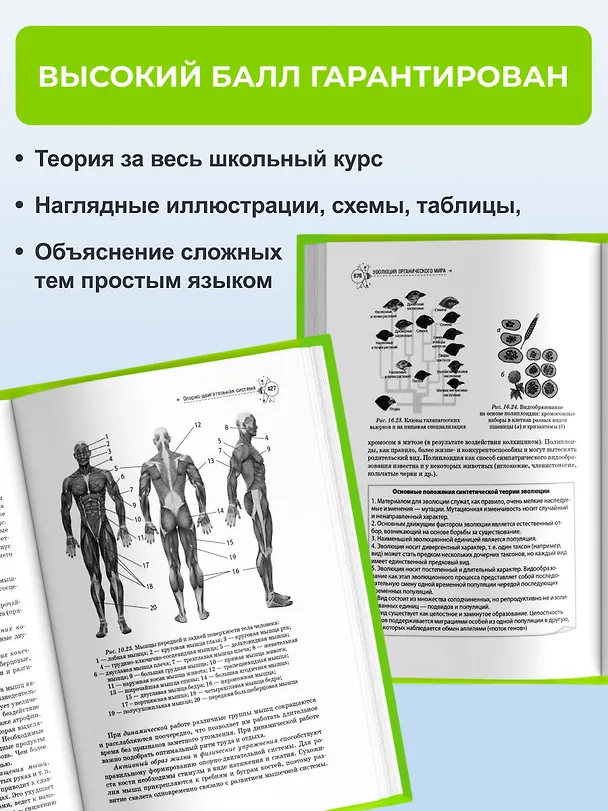 Книга Биология. Справочник для подготовки к ЕГЭ, олимпиадам и поступлению в вуз (Николай Лисов, Лилия Камлюк) — 7
