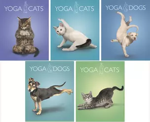 Тетрадь 96л кл. "Yoga Animals" двойн.УФлак, ассорти, Академия Групп — 226406 — 1