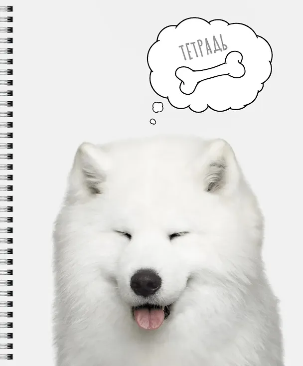 Тетрадь общая «Selfie dog», 48 листов в клетку, A5, в ассортименте - Listoff 3039395 — 4