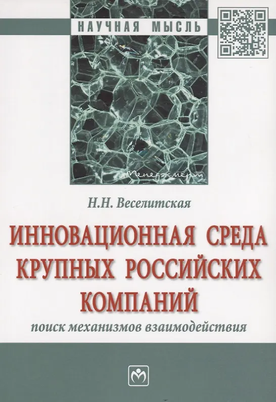Книга Инновационная среда крупных российских компаний: поиск механизмов взаимодействия (Наталия Веселитская) — 1