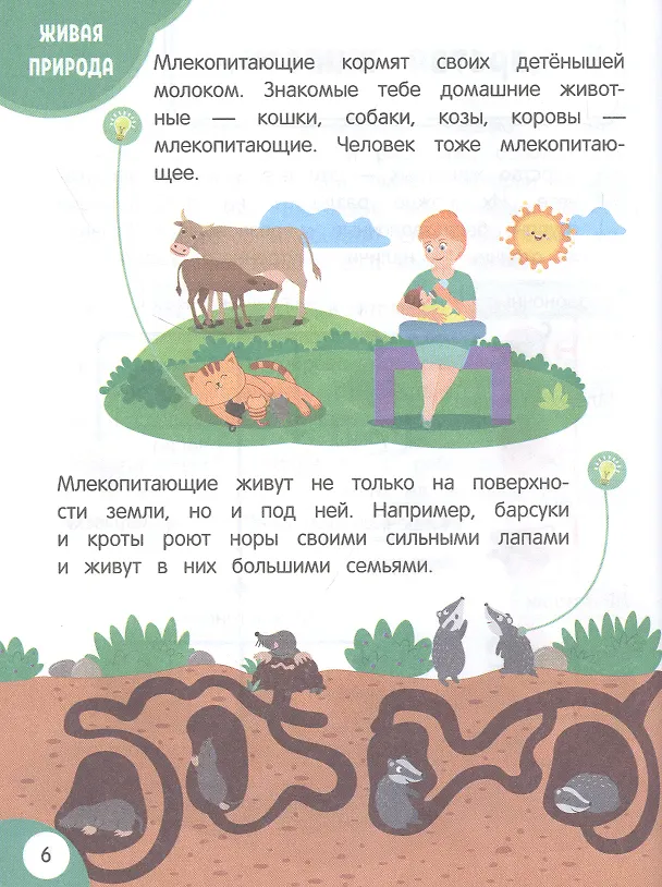 Книга Моя первая книга открытий: для детей от 5 лет (Н. Баранова) — 5