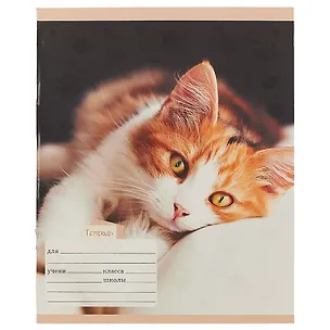 Тетрадь в линейку Unnika, "Домашние любимцы (котята)", 12 листов, в ассортименте 246517